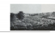 The cattle market in Altona